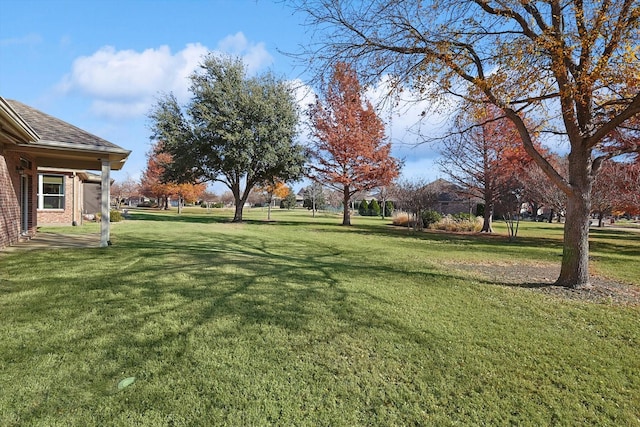 view of yard