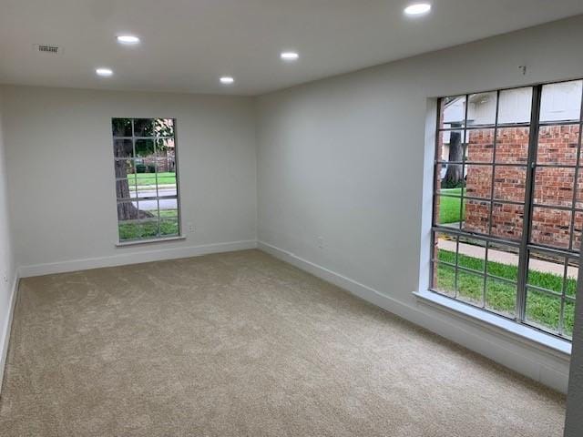 carpeted spare room featuring a wealth of natural light