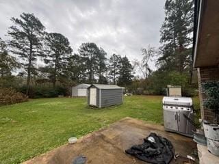 view of yard featuring a patio and a storage shed