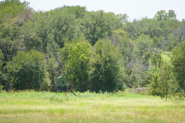 view of local wilderness