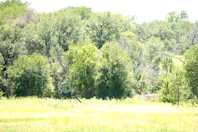 view of nature