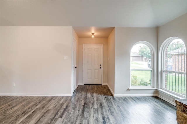 foyer featuring dark hardwood / wood-style flooring and a healthy amount of sunlight