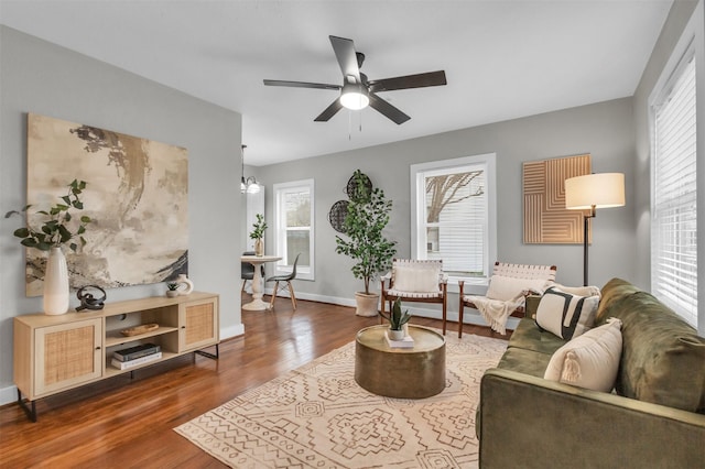 living room featuring ceiling fan with notable chandelier and dark hardwood / wood-style floors