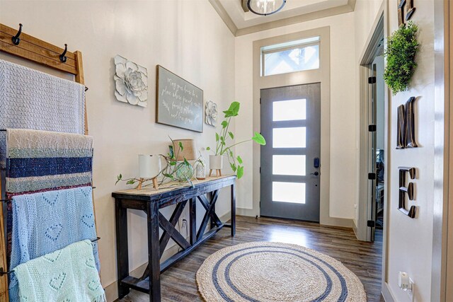 foyer entrance featuring plenty of natural light and dark hardwood / wood-style floors