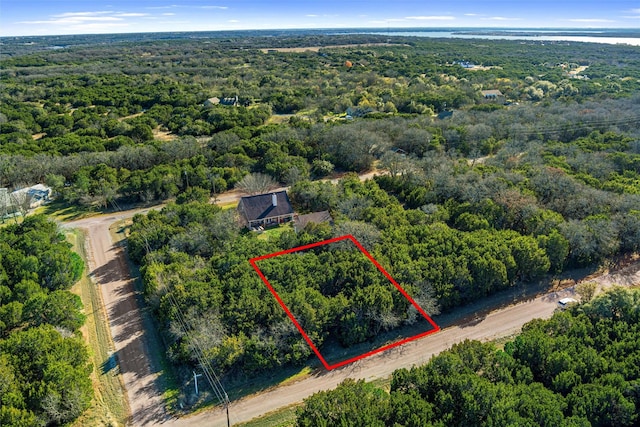 18066 Forrest Dr, Whitney, TX 76692