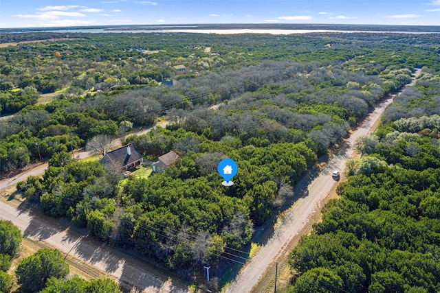 18066 Forrest Dr, Whitney, TX 76692
