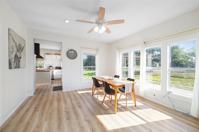 dining area with ceiling fan, light hardwood / wood-style flooring, and a healthy amount of sunlight