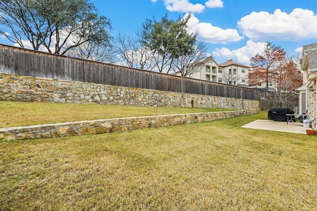 view of yard featuring a patio