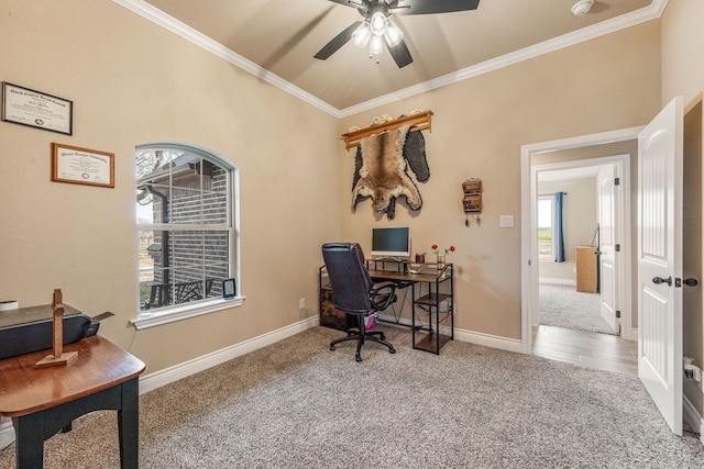 carpeted home office with ceiling fan and ornamental molding