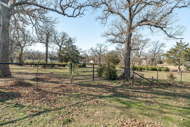 view of yard with a rural view