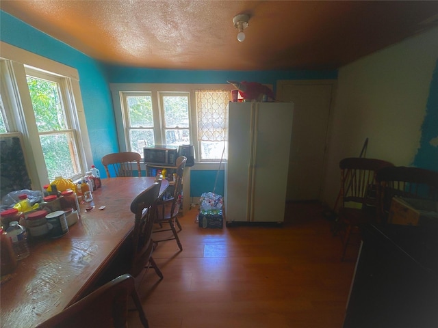 dining room with a healthy amount of sunlight, a textured ceiling, and wood-type flooring