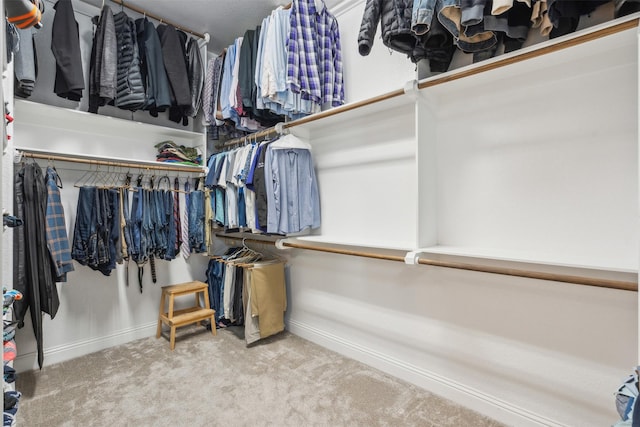 spacious closet featuring carpet