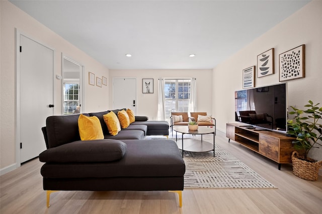 living room with light hardwood / wood-style flooring and a wealth of natural light