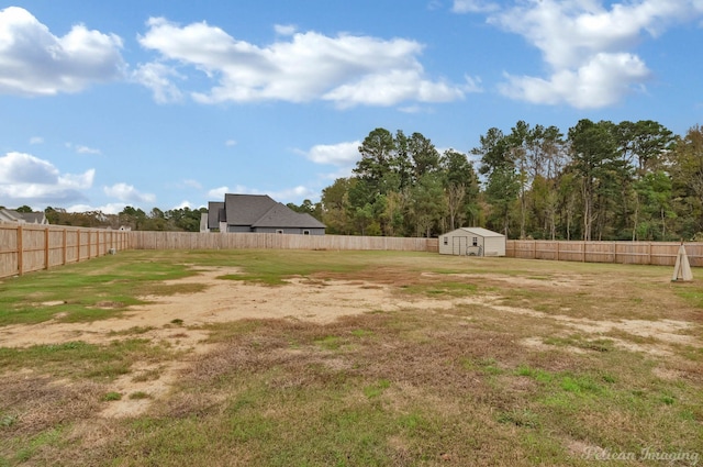 view of yard with a shed