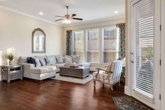 living room featuring dark wood-type flooring, ornamental molding, and ceiling fan