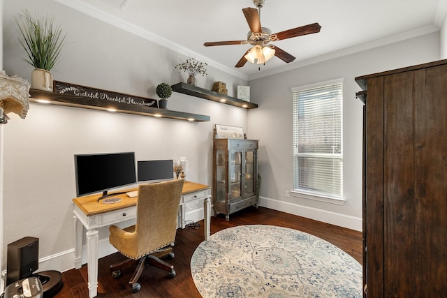 office with dark wood-type flooring, ceiling fan, and ornamental molding