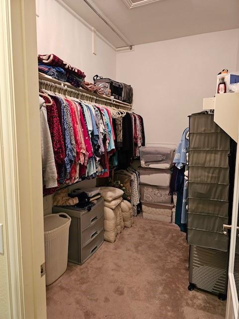 walk in closet with light carpet