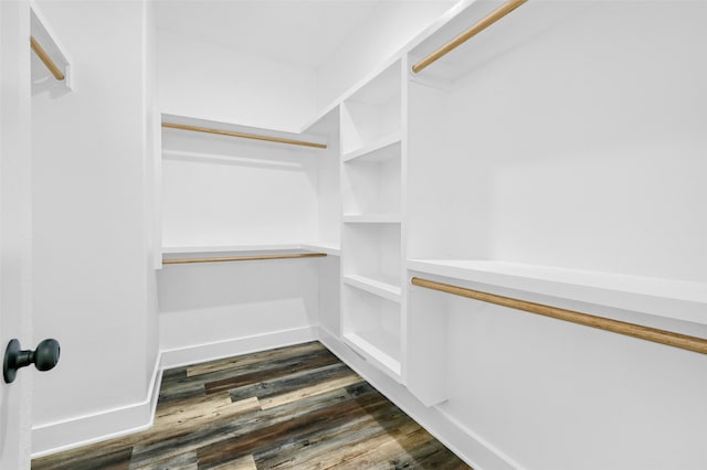 spacious closet with dark hardwood / wood-style flooring