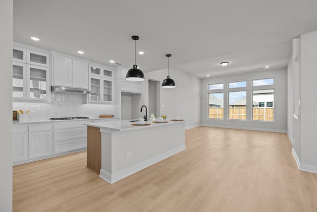 kitchen featuring under cabinet range hood, backsplash, light wood-style floors, and a sink