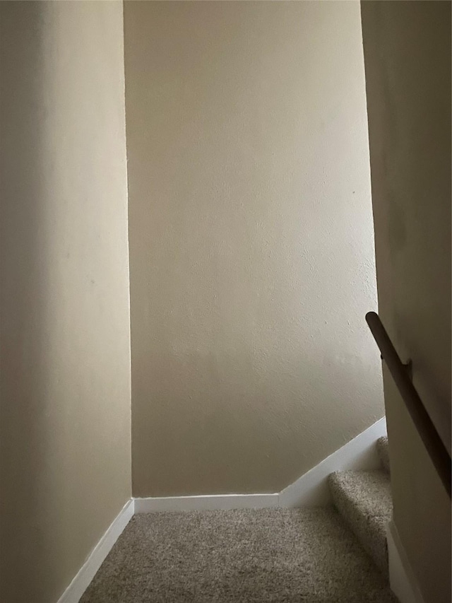 staircase with carpet flooring