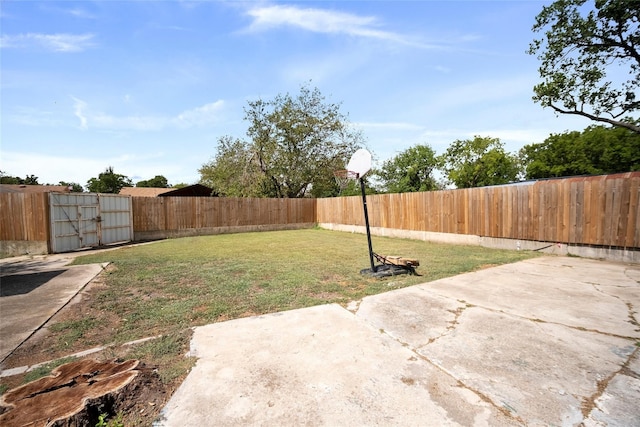 view of yard featuring a patio