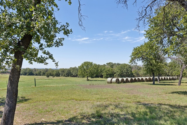 view of yard with a rural view