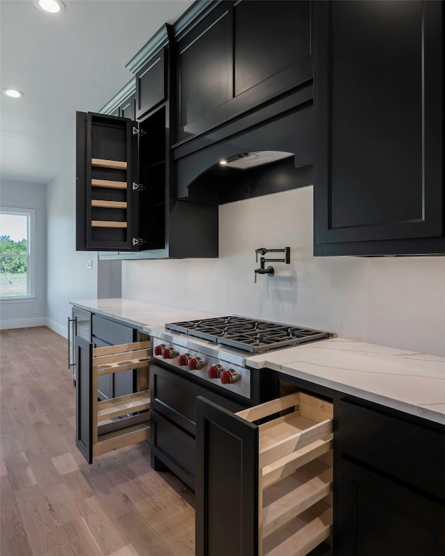 kitchen with light stone countertops and light wood-type flooring