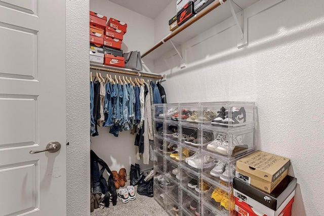 view of spacious closet