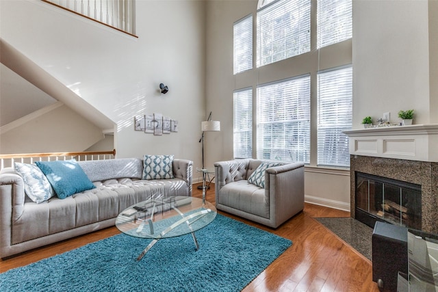 living room featuring wood-type flooring and a premium fireplace