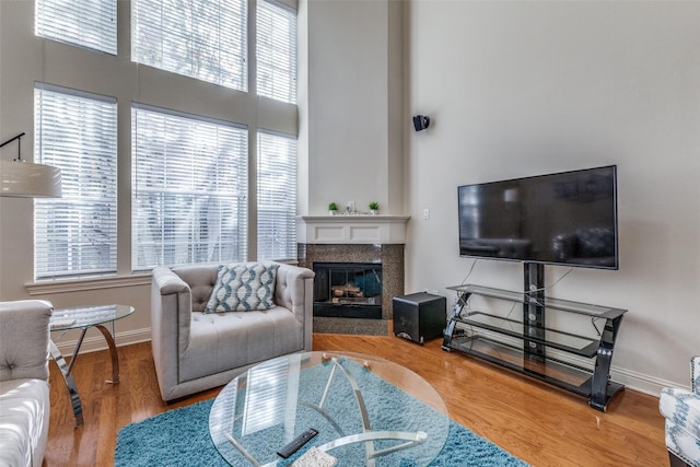 living room with hardwood / wood-style flooring and a fireplace