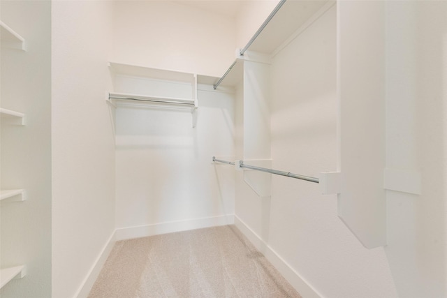 3231 Fisher Rd, Rockwall, TX 75032 - walk in closet with light carpet