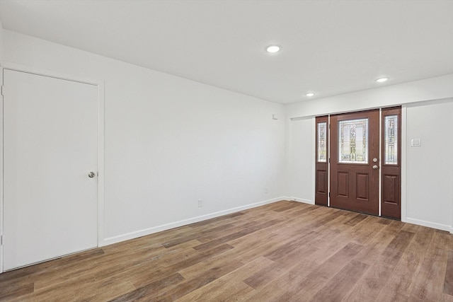 entryway featuring wood-type flooring