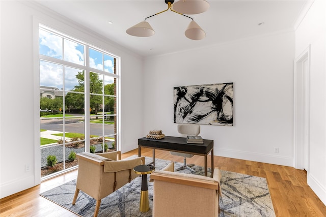 office area featuring light hardwood / wood-style flooring and ornamental molding