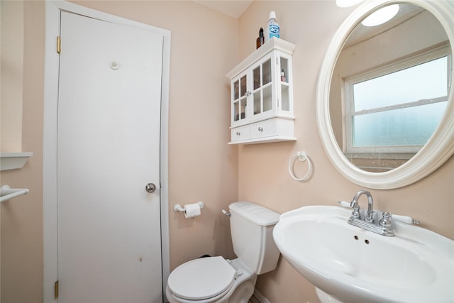 bathroom featuring sink and toilet