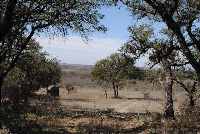 view of local wilderness featuring a rural view