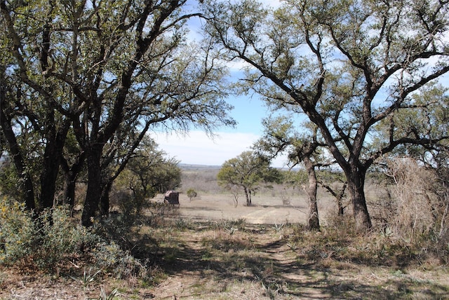 view of landscape featuring a rural view