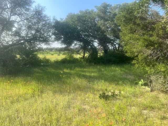 view of landscape