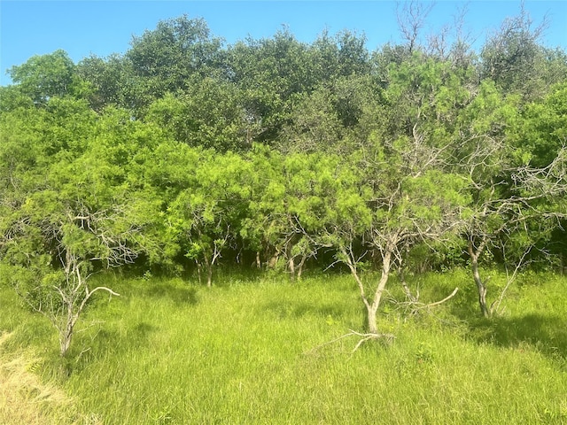 view of landscape