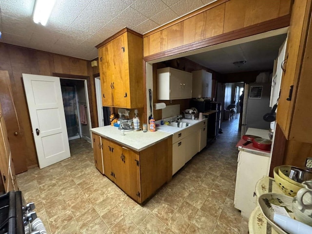 kitchen featuring sink and wood walls