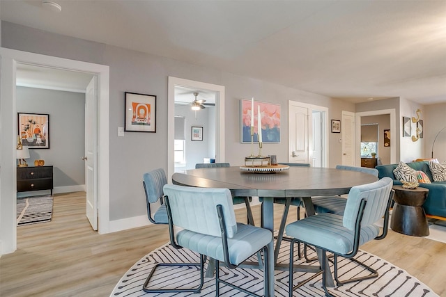 dining space with ceiling fan and light wood-type flooring