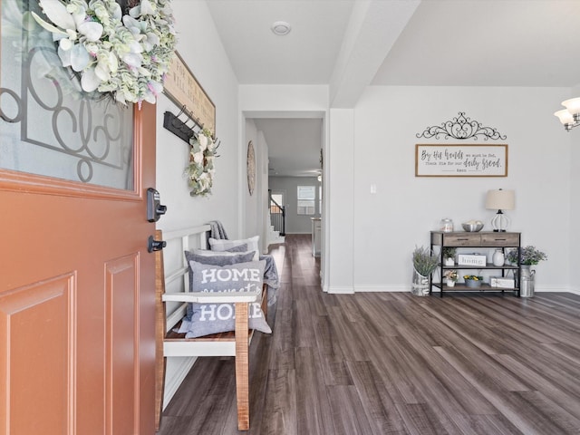 foyer featuring dark wood-type flooring