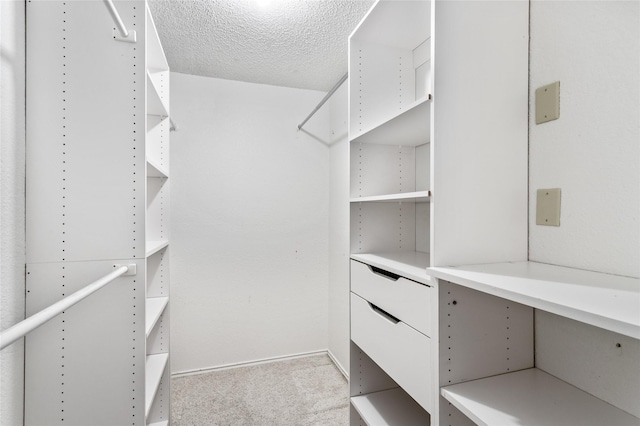 spacious closet featuring light colored carpet