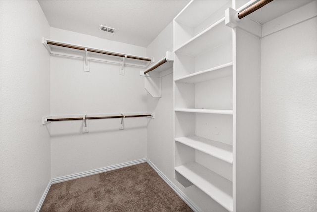 walk in closet featuring carpet