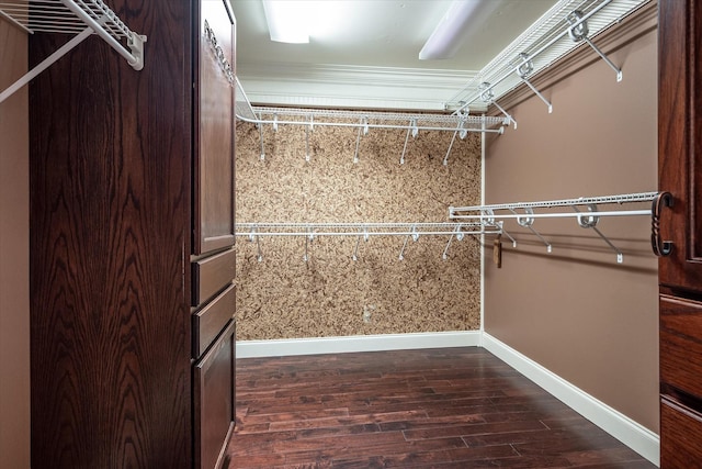 walk in closet featuring dark hardwood / wood-style flooring