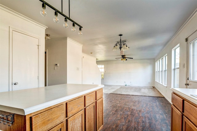 kitchen with ceiling fan, dark hardwood / wood-style floors, decorative light fixtures, and ornamental molding