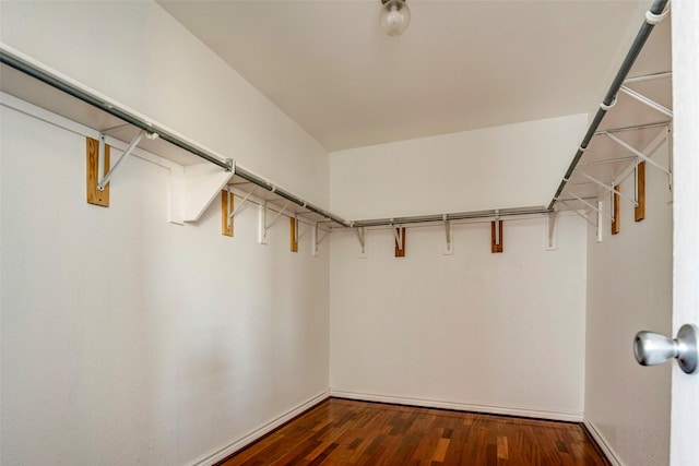 spacious closet featuring dark hardwood / wood-style flooring