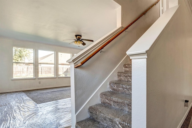 stairway featuring carpet floors and ceiling fan