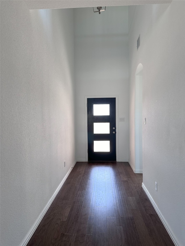 foyer entrance with a high ceiling and dark wood-type flooring