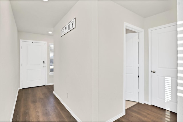 hall featuring dark wood-type flooring