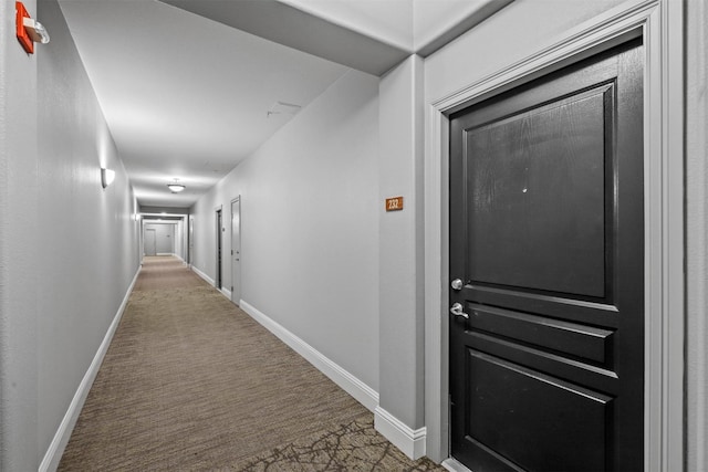 hallway featuring carpet flooring